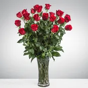 Passionate Love Two Dozen