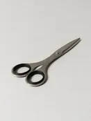 Allex Stainless Steel Scissors