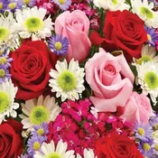 Birthday BR-A003