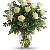Dozen Long Stemmed White Roses