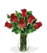 6 Red Long Stem Roses