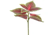 10″ Coleus Spray, Burgundy/Green