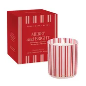 12oz Boxed Soy Candle - Merry and Bright by Sweet Water Decor