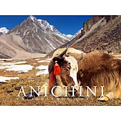ANICHINI E-GIFT CARD ($200)