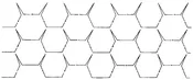 Chicken Wire
