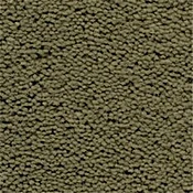 Fabrica Caper Plush Saxony Carpet
