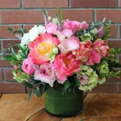 Blush & Bloom