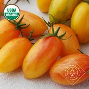 Artisan – Blush
