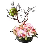 Birch Of Happiness by Newport Florist - NF124