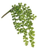 Baby Tears Artificial Succulent Stem 11" Green