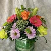 Pastel petals