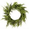 24"  Norfolk Pine Wreath