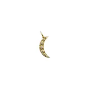 14K Gold Diamond Crescent Moon Charm