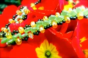 Dragon’s Tail Bracelet