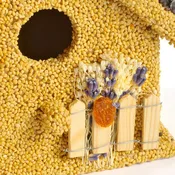 Birdseed Coated Bird Houses