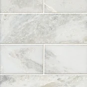 Africa Tempesta Polished Marble Subway Wall and Floor Tile - 4 x 12 in.