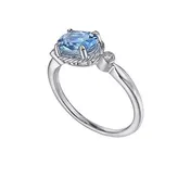 The ALEJA Ring
