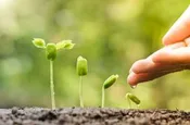 Personal Carbon Offsets