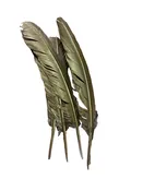 10” Gold Turkey Feather 10 Piece