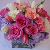 Lady Love - W521