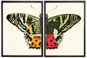 Diptych Green Butterfly