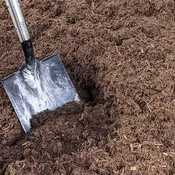 Bark Mulch
