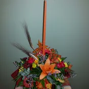 Fall House Special