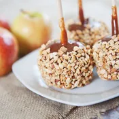 Apple Caramel Crunch Fragrance Oil 558