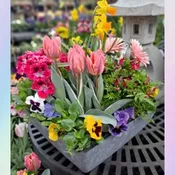 BAYPORT'S BEST GARDEN OF SEASONAL BLOOMS EXTRA LARGE