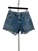 AgoldE Size 28 Blue Shorts