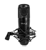 Blucoil Cardioid Condenser Studio XLR Microphone Var