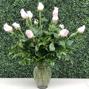 CLASSIC LIGHT PINK ROSES