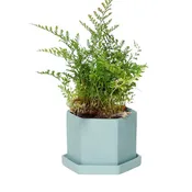 3.5" Handmade Ceramic Planter - Peacock Green