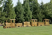 6 Piece Train - Texas Backyard Structure
