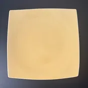 E01 EBI Square plate
