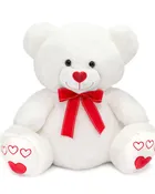 19.5 in V Day Teddy Bear