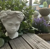 HEAD PLANTER