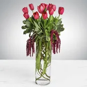 Beautiful Tulips