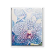 Abstract Orchid Flower Framed Canvas Print