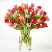 Valentine’s Day Flower Collection | Romantic Bouquets & Arrangements | Soirée Pines Florist