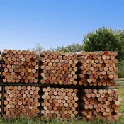 4″x10′ New White Cedar Posts