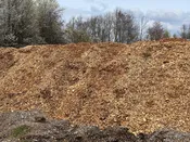 Mulch – Wood Chips