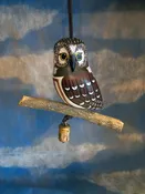 Saw-whet Owl