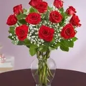 1dz red w/baby's breath