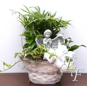 Angel Wings Planter  EF 066