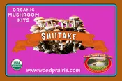Mushroom Table-Top-Farm Kit. Organic Shiitake.