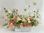 The Meadow — Feather + Bloom