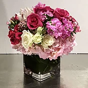 Spring Delight