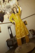 Aari Parrot Straight Cut Kurta Set