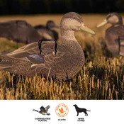 Pro II Lite Black Ducks
